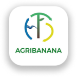 AgriBanana
