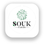 Group 1000007315